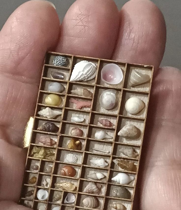 a hand holding a miniature box filled with seashells