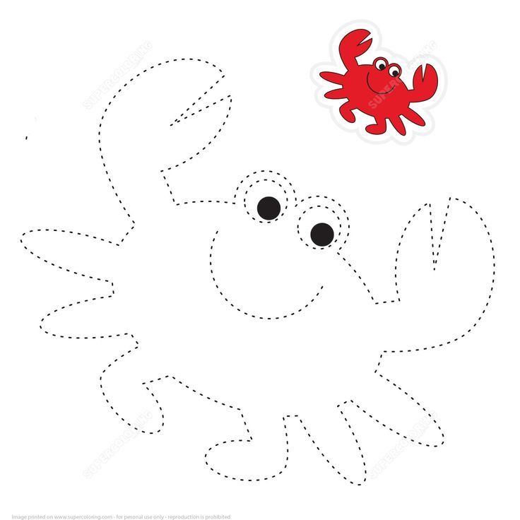 a crab to be traced in the shape of a cartoon character, and then cut out into