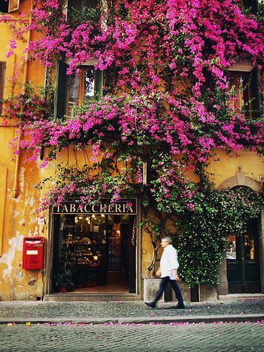 a person walking past a building with purple flowers on it