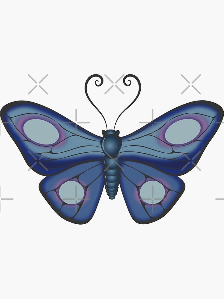 a blue and purple butterfly sitting on top of a white wall