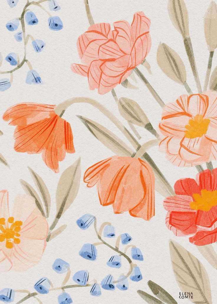 watercolor flowers on white background with blue and orange colors in the middle, including pink