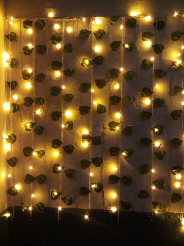 I have used 3 leaves bails each 8ft (250rupees)
And fairy lights (200rupees) Diwali Wall Decorations At Home, Diwali Backdrop Ideas, Diwali Decorations At Home Entrance, Qawwali Night, Decoration Ideas For Diwali, Diwali Decoration Lights, Diwali Decorations At Home, Diwali Decoration Items, Plain Wall