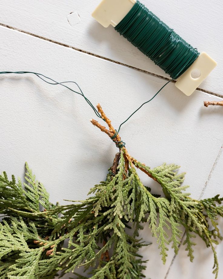 a spool of green thread next to some branches