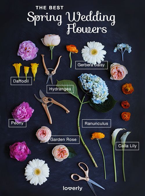 the best spring wedding flowers for every type of bride and groom to have on hand