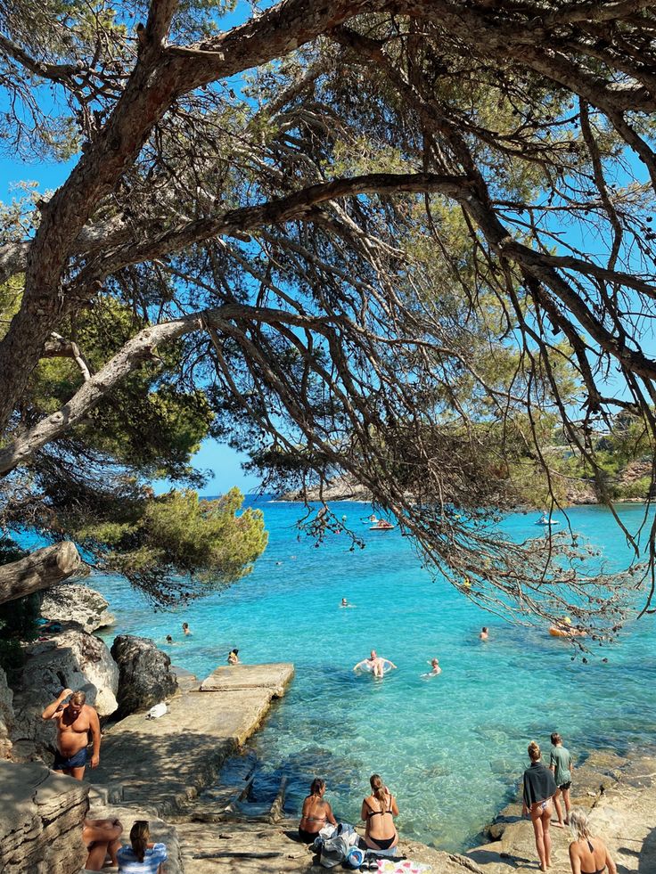 many people are swimming in the blue water