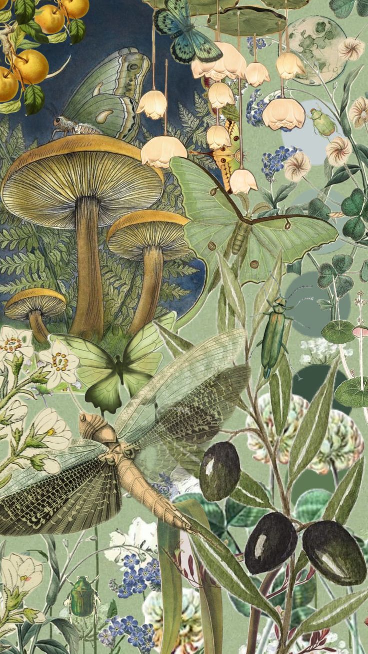 an image of a painting with many different things on it, including mushrooms and other plants