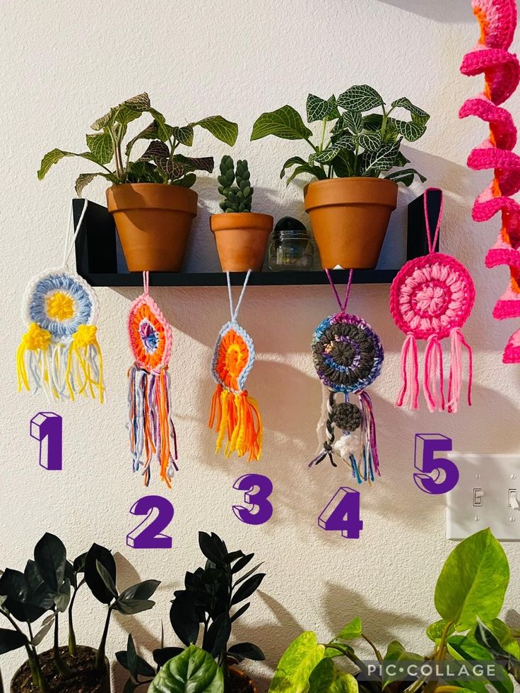 there are many plants on the wall with numbers attached to them and hanging from hooks