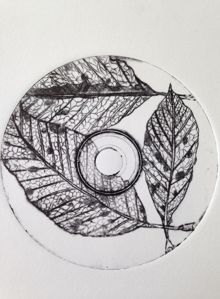 a black and white drawing of a leaf on a cd disc with the image of a tree