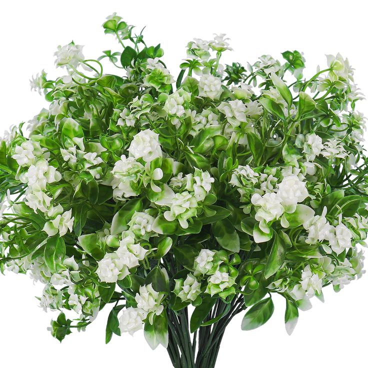 a bouquet of white and green flowers in a vase