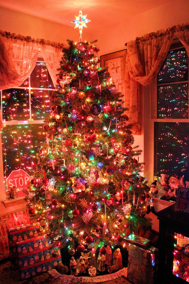 a brightly lit christmas tree in a living room next to a window with the lights on