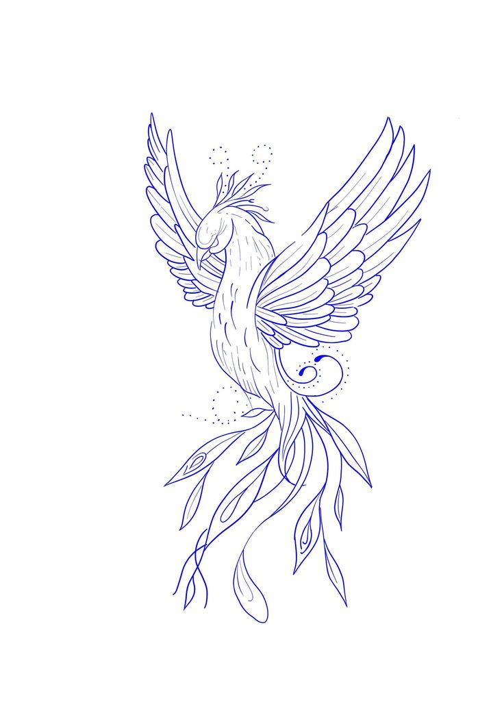 a drawing of a bird with wings spread out