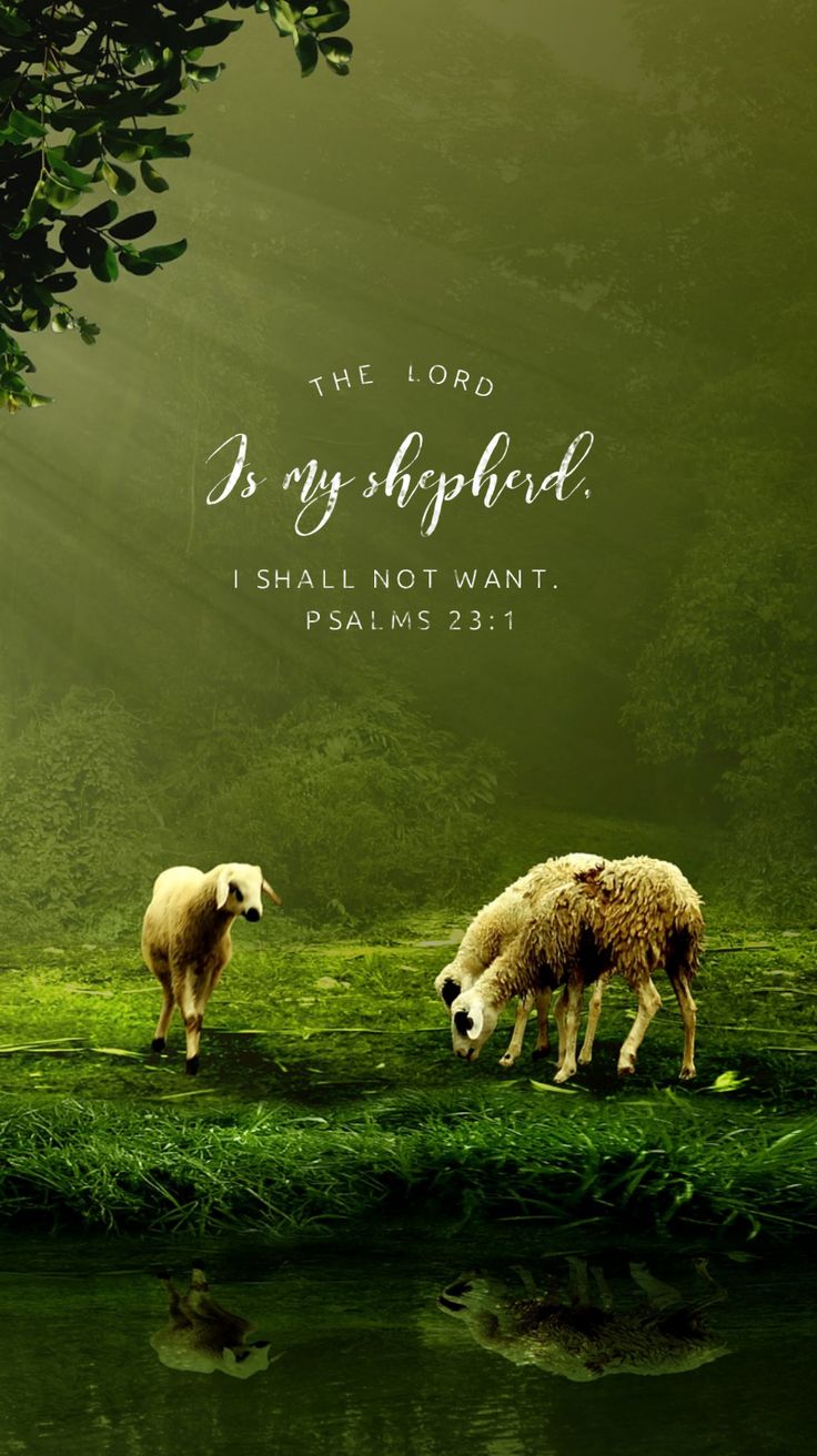 two sheep grazing in the grass near water with a bible verse on it's side