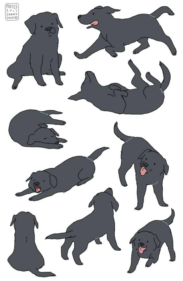 some black dogs are laying down and one is on the ground with its tongue out