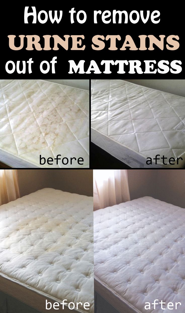 how to remove urine stains out of mattresses and make them look like new ones