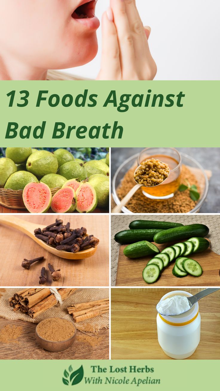 Bad breath can stem from many causes and is often easily remedied through lifestyle changes. Poor dental hygiene, smoking and eating certain foods are said to be the culprit in developing bad breath. But, did you know that bad breath can also be an indicator of a health condition or impaired metabolism? Many aromatic spices have strong antimicrobial properties that ward off bacteria buildup in the mouth. They also facilitate better digestion and salivary production to prevent bad breath. Medicinal Recipes, Prevent Bad Breath, Probiotic Yogurt, Bad Breath Remedy, Better Digestion, Homestead Ideas, Dental Hygiene, Medicinal Herbs, Foods To Eat