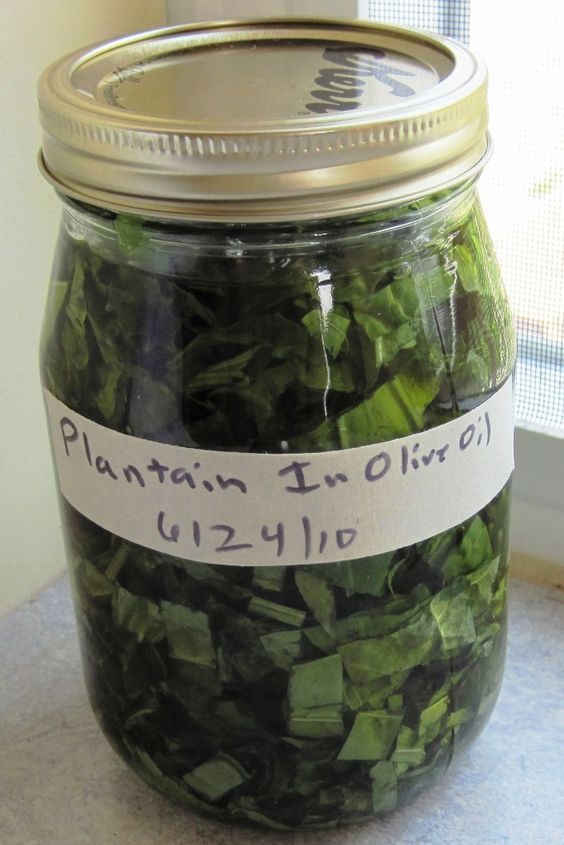 a jar filled with green leaves sitting on top of a counter