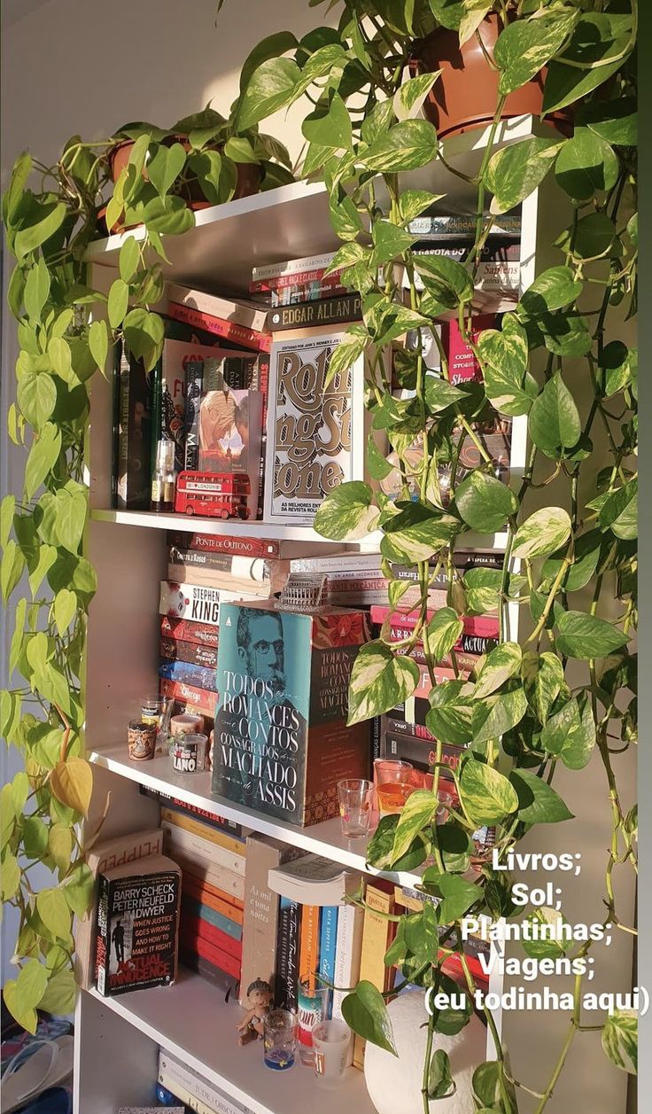 a book shelf filled with lots of books next to a green leafy plant on top of it