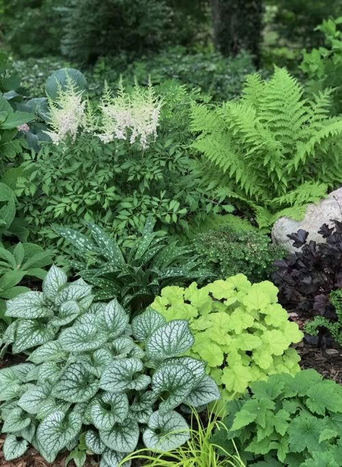 many different types of plants in a garden