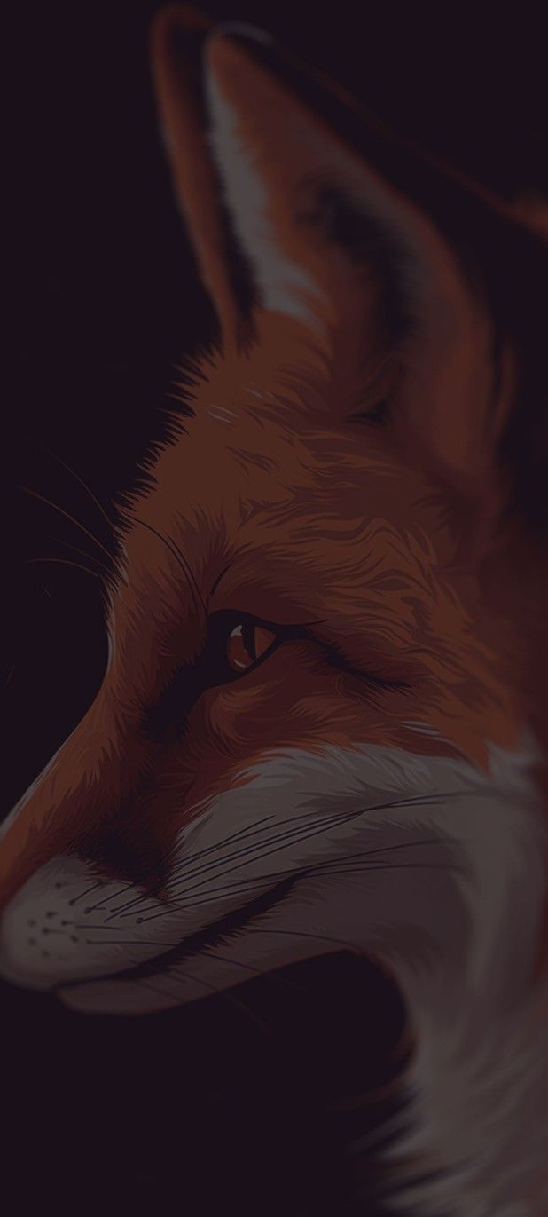 an orange fox with its eyes closed