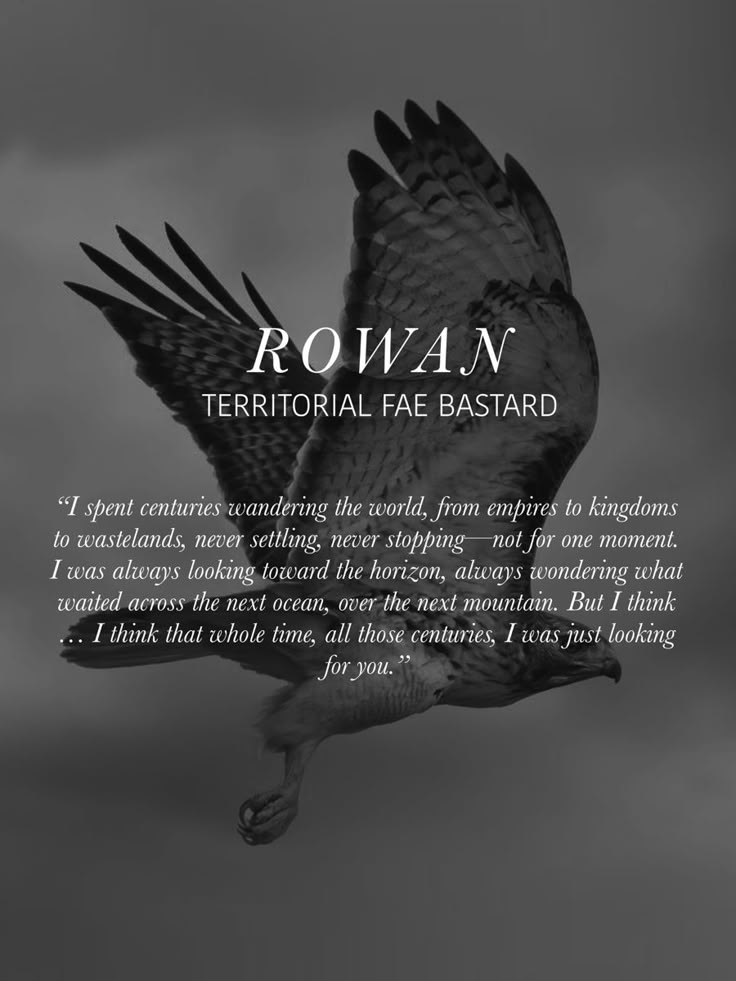 Rowan Whitethorn Quotes, Heir Of Fire Fan Art, Tog Quotes, Trout Painting, Rowan Whitethorn, Throne Of Glass Quotes, Throne Of Glass Fanart, Book Hangover, Throne Of Glass Books