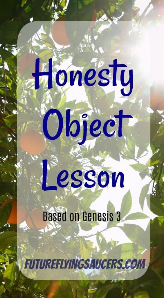 an orange tree with the words honesty object lesson