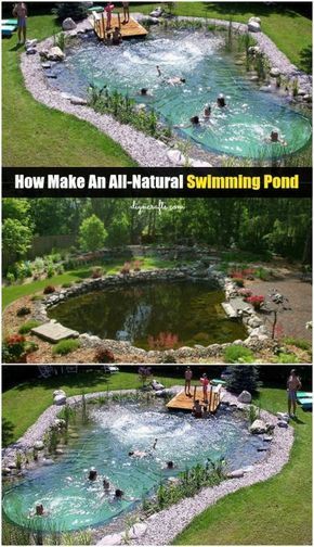 an outdoor swimming pond with people in it