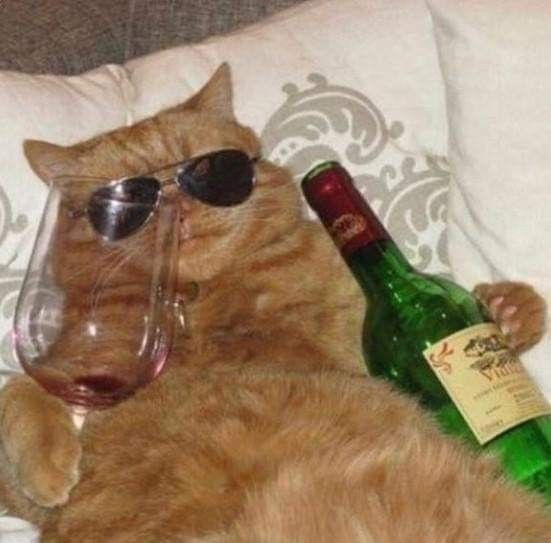 an orange cat wearing sunglasses laying next to a wine glass and bottle on a bed