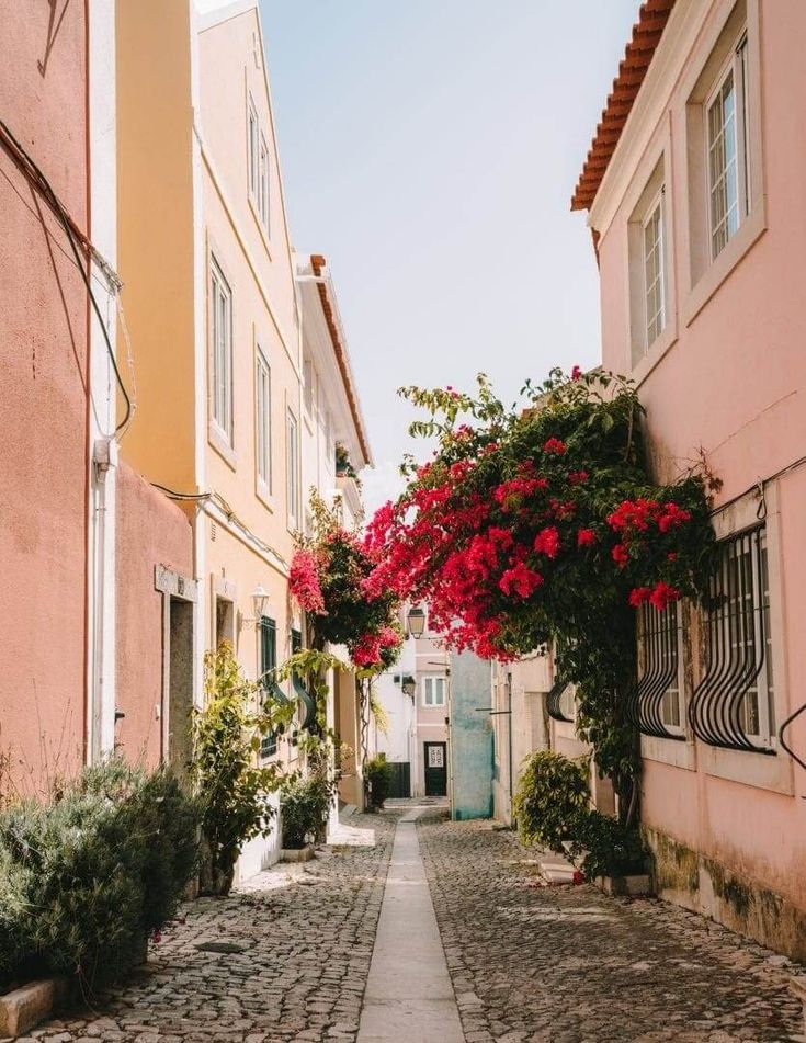 a cobblestone street with pink buildings and red flowers growing on the side of it