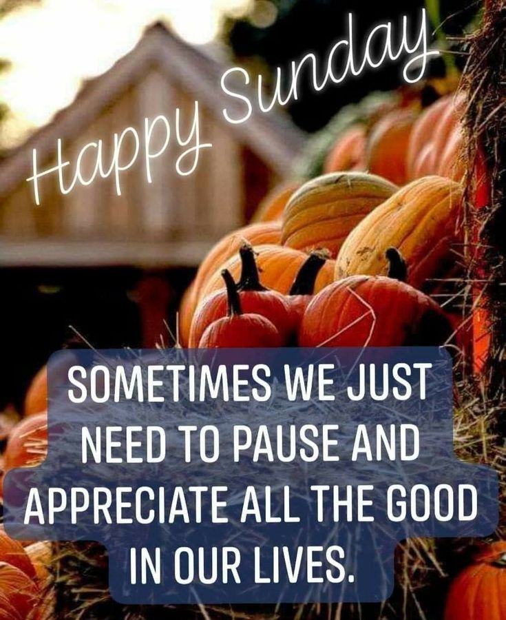 some pumpkins and hay with the words happy sunday