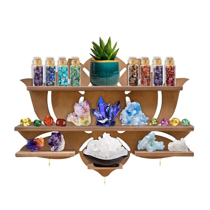 a wooden shelf filled with lots of different types of rocks and crystals next to a potted plant