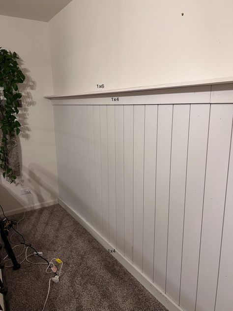 a room with white paneling and a plant in the corner on the floor next to it