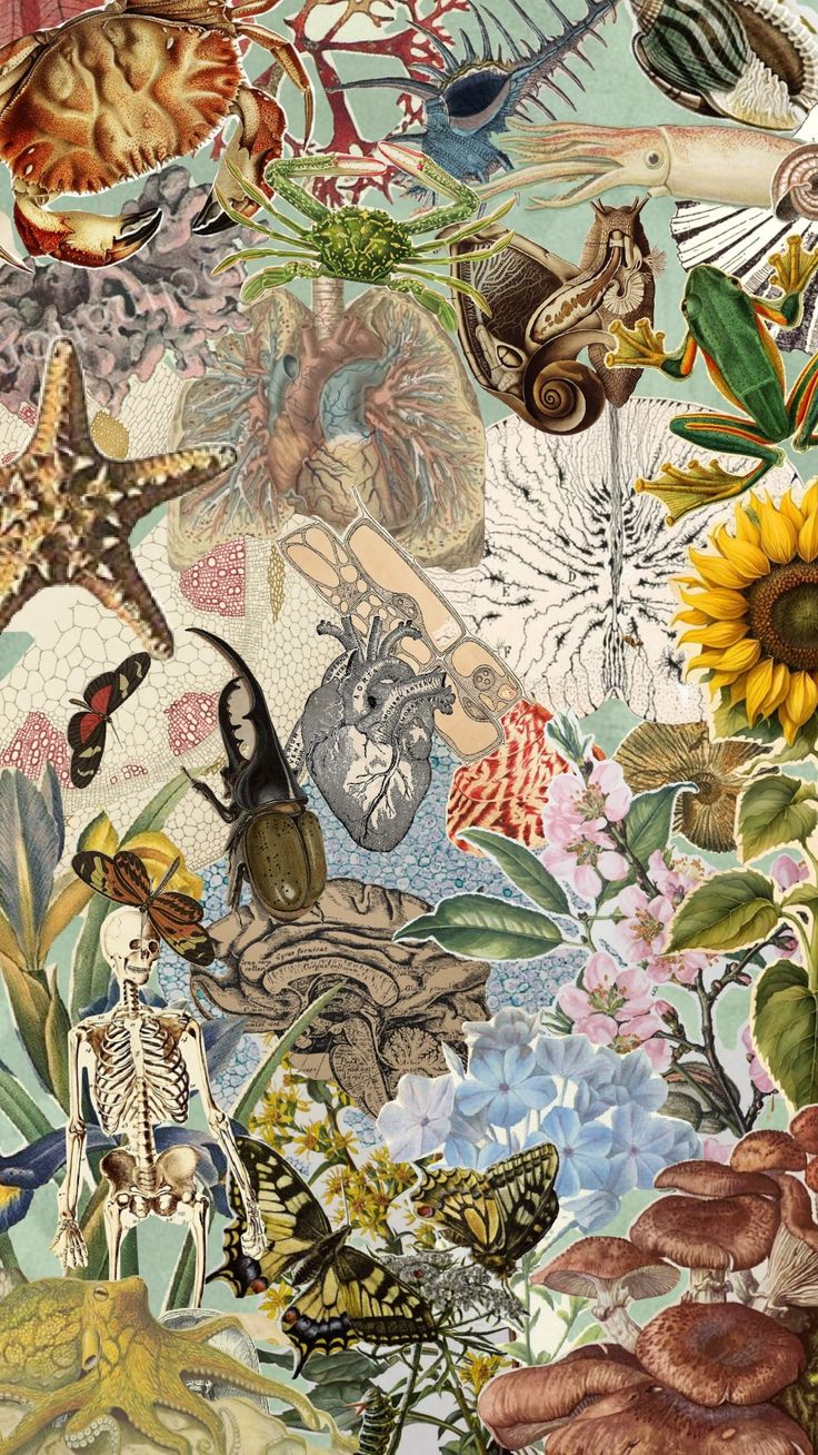 an artistic painting with many different types of animals and plants on it's surface