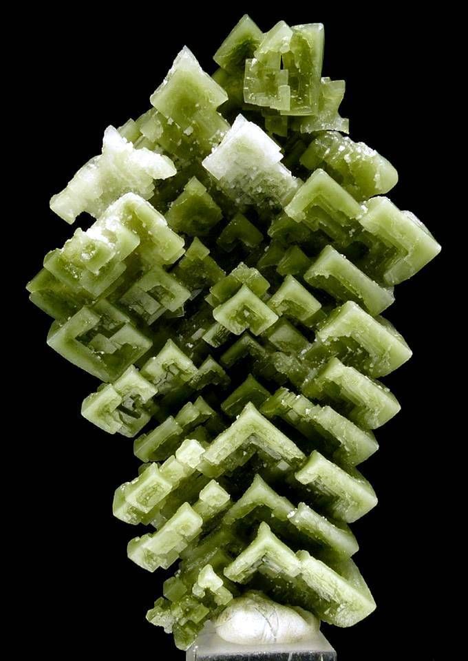 a bunch of cut up celery sitting on top of each other in front of a black background