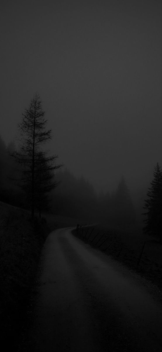 black and white photograph of a foggy road with trees on both sides in the distance