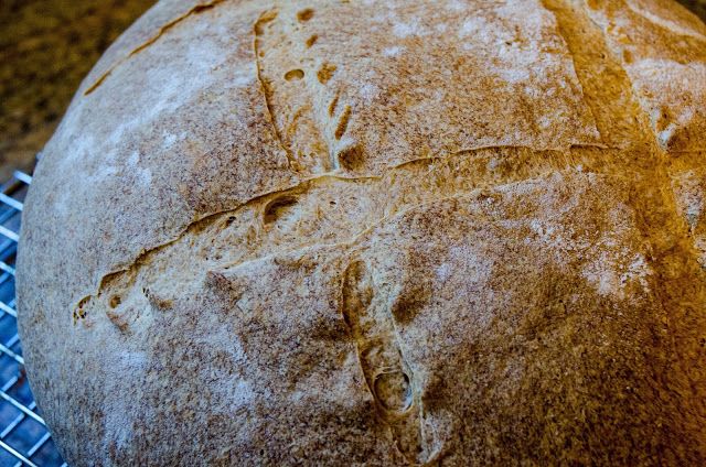 a loaf of bread sitting on top of a cooling rack