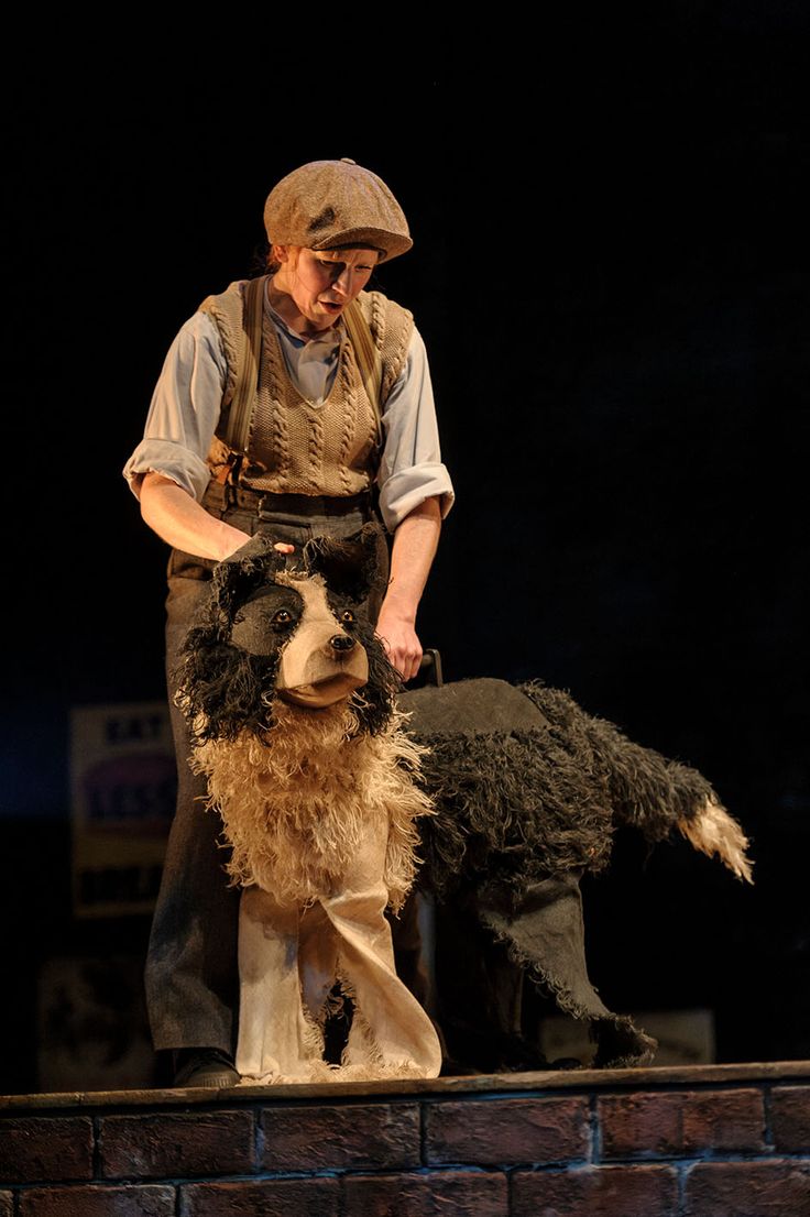 a man standing on top of a brick wall next to a sheep and another animal