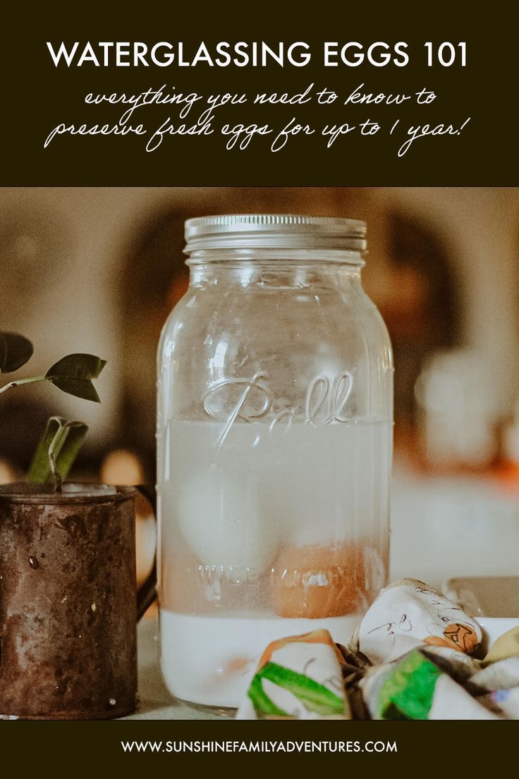 a glass jar filled with water sitting on top of a table next to a potted plant