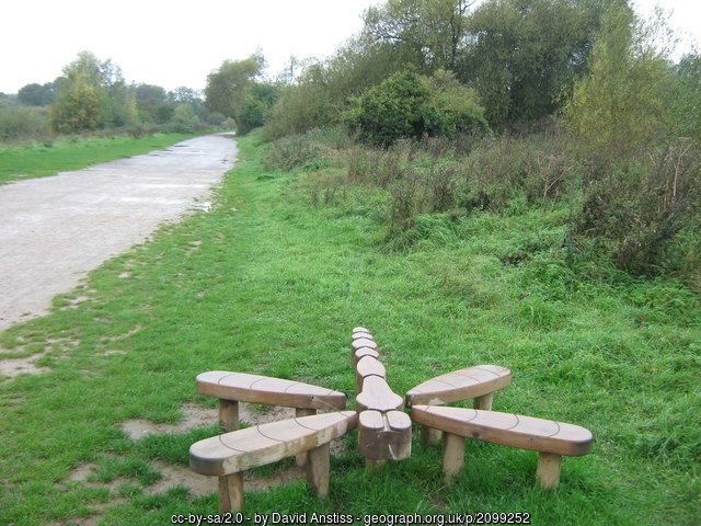 several wooden benches sitting in the middle of a grassy area next to a dirt road