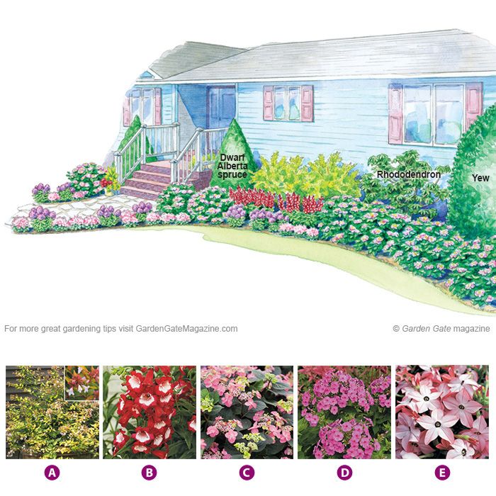 the different types of flowers in front of a house