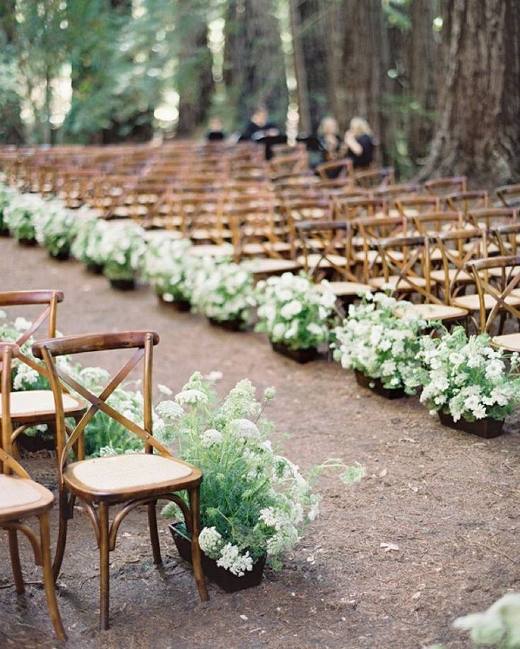 two wooden chairs sitting next to each other on top of a dirt field with flowers