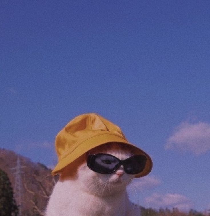 a white and orange cat wearing a yellow hat, sunglasses and a sun visor