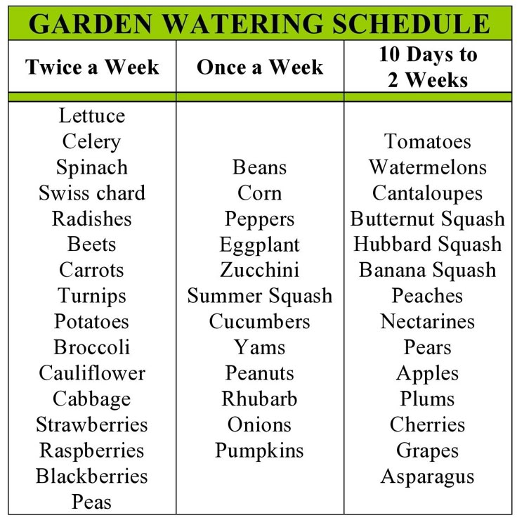 the garden watering schedule is shown in green and black, with two days to each month