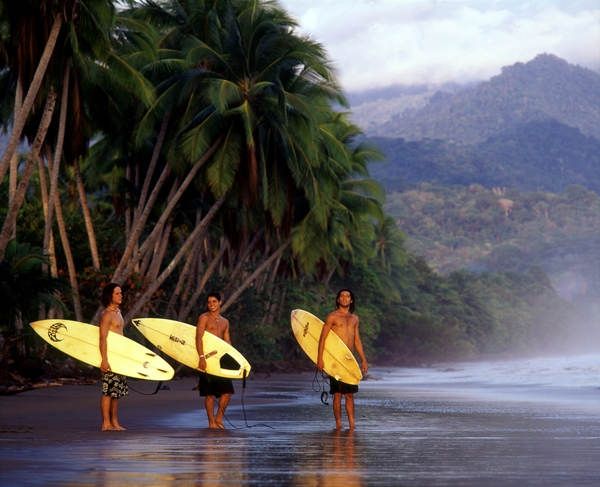 three surfers are walking on the beach with their surfboards in hand and palm trees behind them