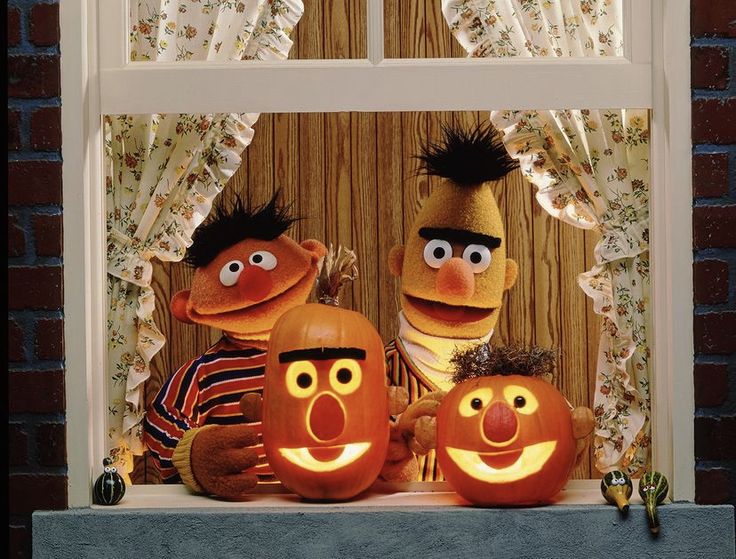 sesame and bert pumpkins with faces carved to look like they are sitting on a window sill