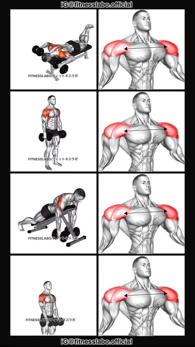 an image of a man doing exercises on his back with the muscles highlighted in red