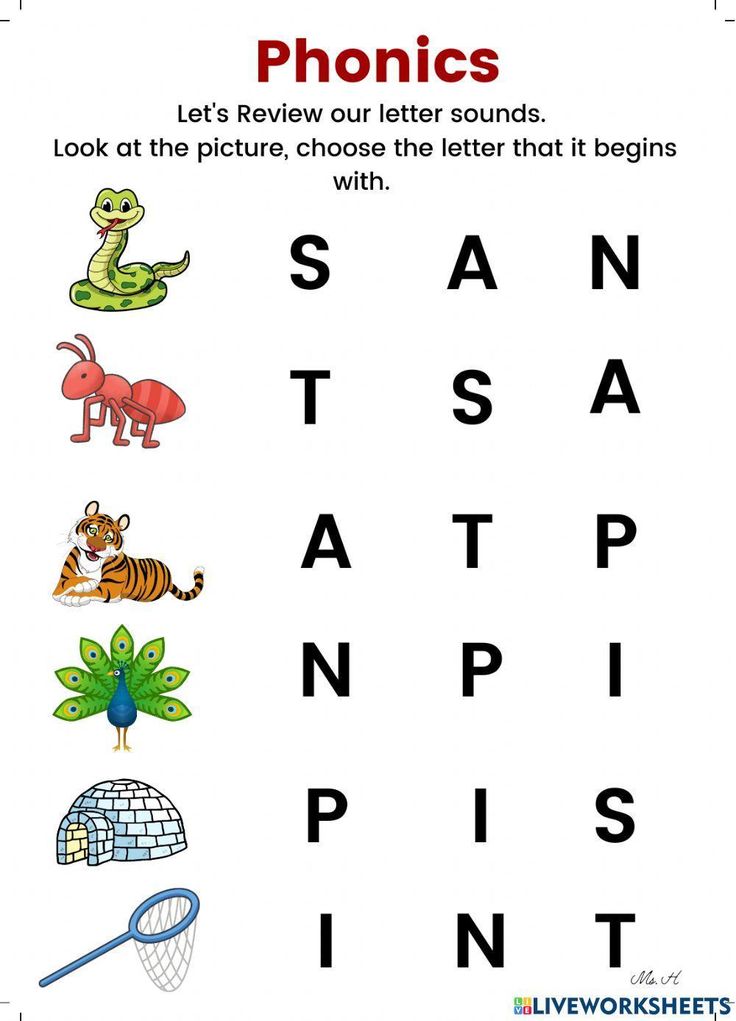 the words in this worksheet are for phonics