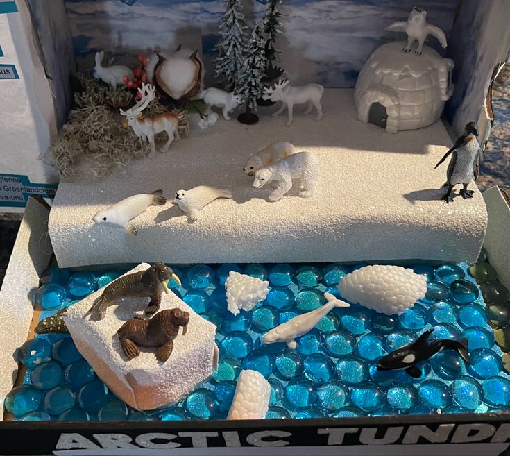 Arctic tundra Arctic Habitat Project, Native American Igloo Project, Tundra Habitat Projects For Kids, Polar Bear Habitat Project Kids, Polar Diorama, Tundra Diorama, Tundra Project, Habitat Diorama, Igloo Craft