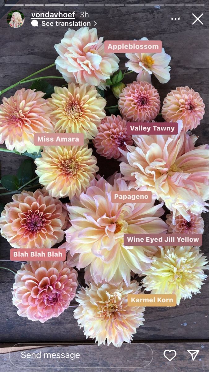 a bunch of flowers that are on top of a wooden table with the names of each flower