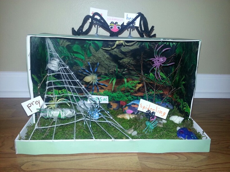 a fish tank filled with lots of different types of plants and animals in the water