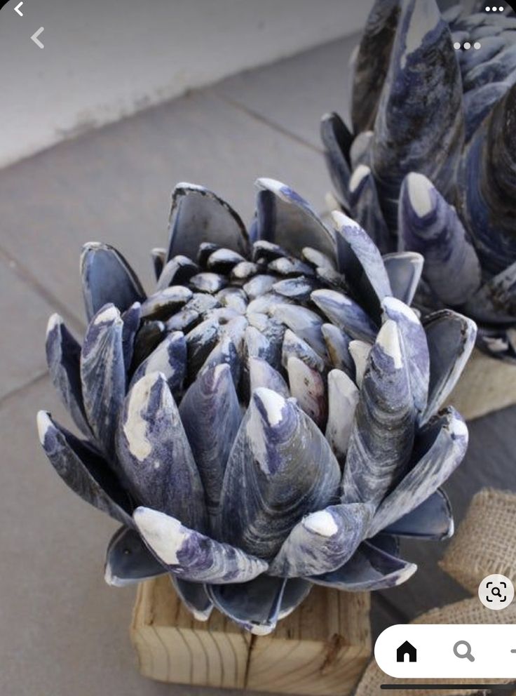 two blue and white artichokes sitting on top of a wooden block next to each other